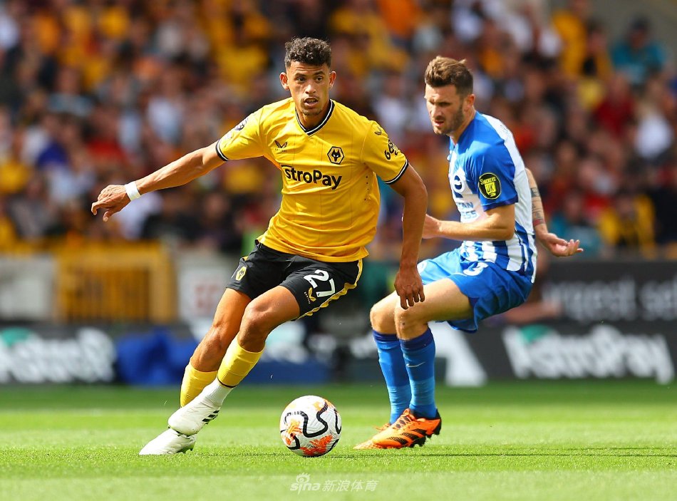 本次转会的 本次转会的